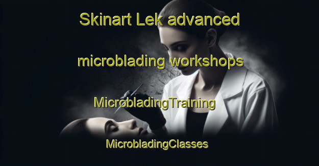 Skinart Lek advanced microblading workshops | MicrobladingTraining | MicrobladingClasses | SkinartTraining-Finland