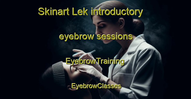 Skinart Lek introductory eyebrow sessions | EyebrowTraining | EyebrowClasses | SkinartTraining-Finland