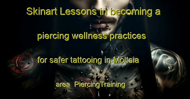 Skinart Lessons in becoming a piercing wellness practices for safer tattooing in Moltsia area | PiercingTraining | PiercingClasses | SkinartTraining-Finland