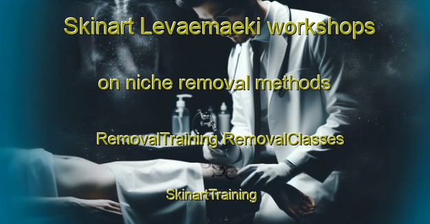 Skinart Levaemaeki workshops on niche removal methods | #RemovalTraining #RemovalClasses #SkinartTraining-Finland