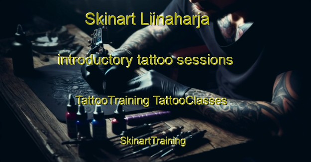 Skinart Liinaharja introductory tattoo sessions | #TattooTraining #TattooClasses #SkinartTraining-Finland