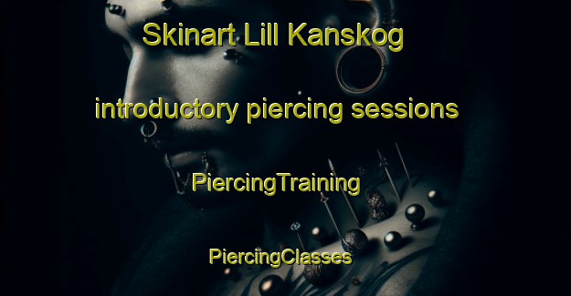Skinart Lill Kanskog introductory piercing sessions | PiercingTraining | PiercingClasses | SkinartTraining-Finland