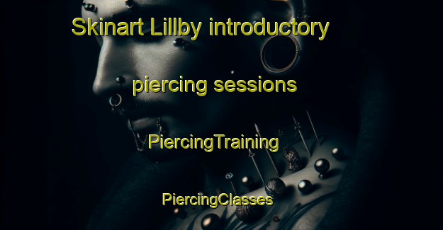 Skinart Lillby introductory piercing sessions | PiercingTraining | PiercingClasses | SkinartTraining-Finland
