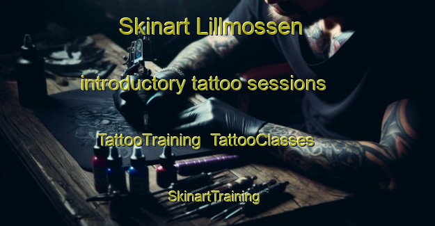 Skinart Lillmossen introductory tattoo sessions | TattooTraining | TattooClasses | SkinartTraining-Finland