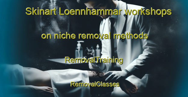 Skinart Loennhammar workshops on niche removal methods | RemovalTraining | RemovalClasses | SkinartTraining-Finland