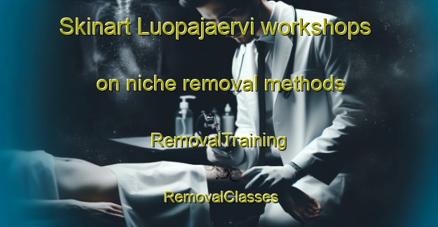 Skinart Luopajaervi workshops on niche removal methods | RemovalTraining | RemovalClasses | SkinartTraining-Finland