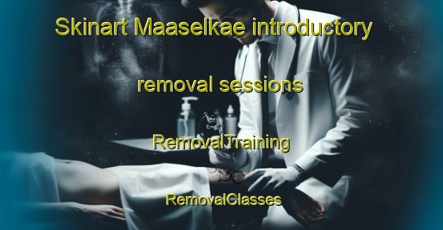 Skinart Maaselkae introductory removal sessions | RemovalTraining | RemovalClasses | SkinartTraining-Finland