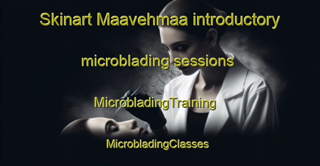 Skinart Maavehmaa introductory microblading sessions | MicrobladingTraining | MicrobladingClasses | SkinartTraining-Finland