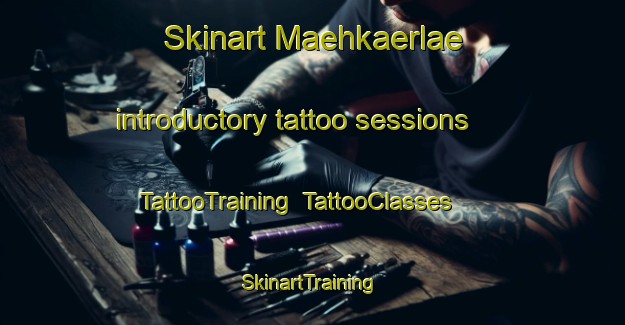 Skinart Maehkaerlae introductory tattoo sessions | TattooTraining | TattooClasses | SkinartTraining-Finland