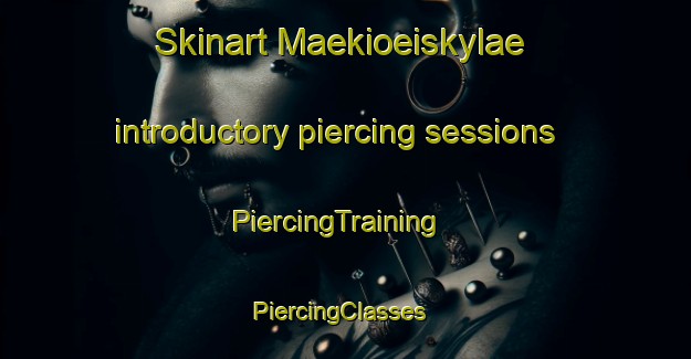 Skinart Maekioeiskylae introductory piercing sessions | PiercingTraining | PiercingClasses | SkinartTraining-Finland