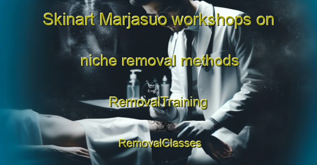 Skinart Marjasuo workshops on niche removal methods | RemovalTraining | RemovalClasses | SkinartTraining-Finland