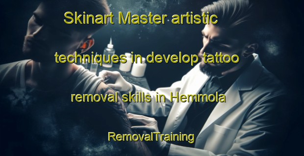 Skinart Master artistic techniques in develop tattoo removal skills in Hemmola | RemovalTraining | RemovalClasses | SkinartTraining-Finland