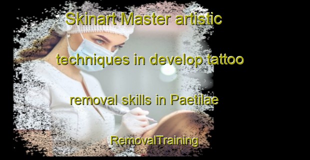 Skinart Master artistic techniques in develop tattoo removal skills in Paetilae | RemovalTraining | RemovalClasses | SkinartTraining-Finland