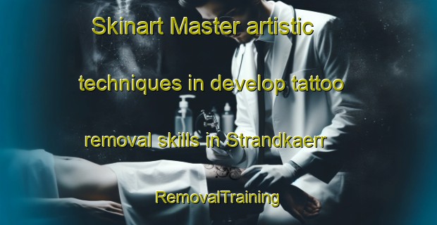Skinart Master artistic techniques in develop tattoo removal skills in Strandkaerr | RemovalTraining | RemovalClasses | SkinartTraining-Finland