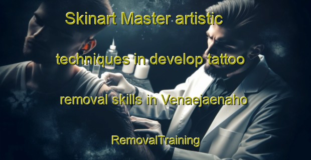 Skinart Master artistic techniques in develop tattoo removal skills in Venaejaenaho | RemovalTraining | RemovalClasses | SkinartTraining-Finland