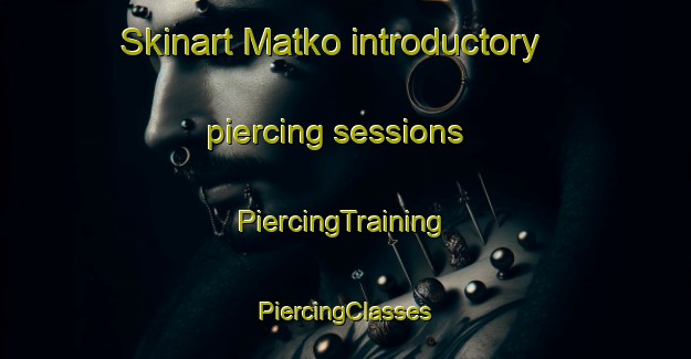 Skinart Matko introductory piercing sessions | #PiercingTraining #PiercingClasses #SkinartTraining-Finland