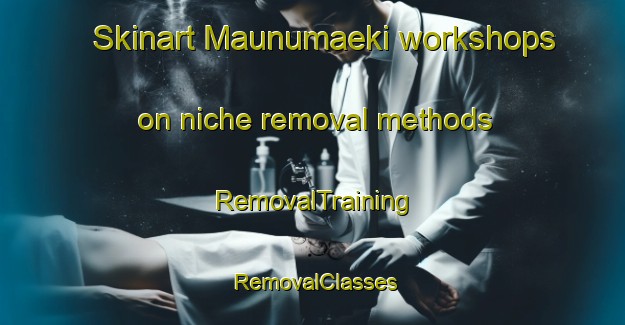 Skinart Maunumaeki workshops on niche removal methods | RemovalTraining | RemovalClasses | SkinartTraining-Finland