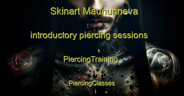 Skinart Maununneva introductory piercing sessions | #PiercingTraining #PiercingClasses #SkinartTraining-Finland