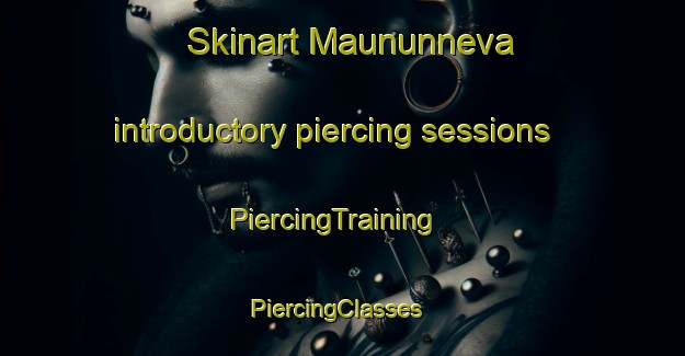 Skinart Maununneva introductory piercing sessions | PiercingTraining | PiercingClasses | SkinartTraining-Finland
