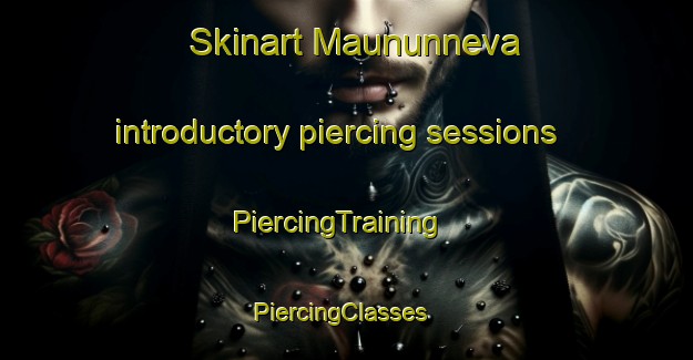 Skinart Maununneva introductory piercing sessions | PiercingTraining | PiercingClasses | SkinartTraining-Finland