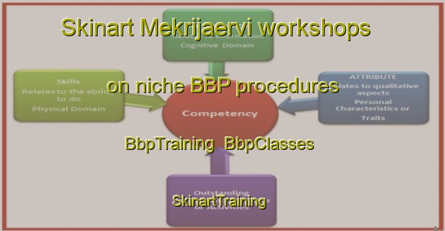 Skinart Mekrijaervi workshops on niche BBP procedures | BbpTraining | BbpClasses | SkinartTraining-Finland