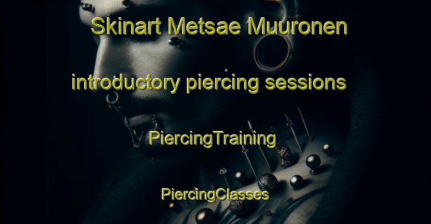 Skinart Metsae Muuronen introductory piercing sessions | #PiercingTraining #PiercingClasses #SkinartTraining-Finland