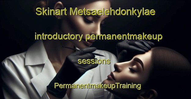 Skinart Metsaelehdonkylae introductory permanentmakeup sessions | PermanentmakeupTraining | PermanentmakeupClasses | SkinartTraining-Finland