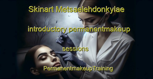 Skinart Metsaelehdonkylae introductory permanentmakeup sessions | PermanentmakeupTraining | PermanentmakeupClasses | SkinartTraining-Finland
