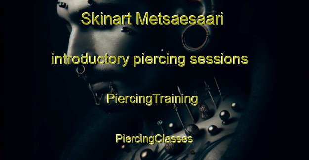 Skinart Metsaesaari introductory piercing sessions | #PiercingTraining #PiercingClasses #SkinartTraining-Finland