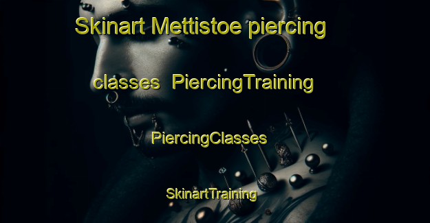 Skinart Mettistoe piercing classes | PiercingTraining | PiercingClasses | SkinartTraining-Finland