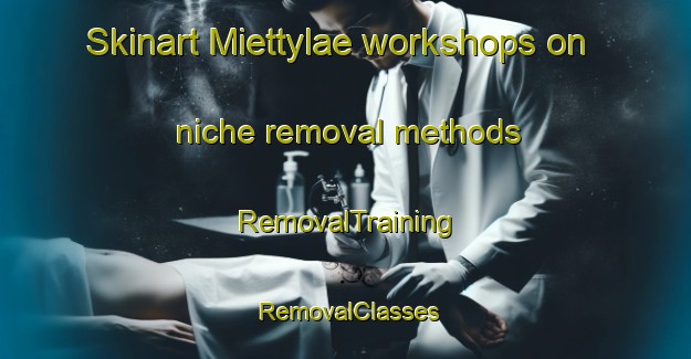 Skinart Miettylae workshops on niche removal methods | RemovalTraining | RemovalClasses | SkinartTraining-Finland