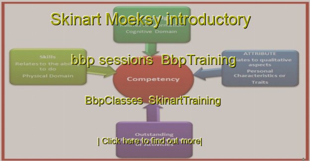 Skinart Moeksy introductory bbp sessions | BbpTraining | BbpClasses | SkinartTraining-Finland