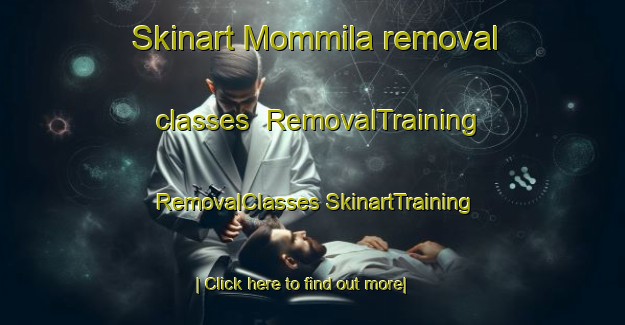 Skinart Mommila removal classes | #RemovalTraining #RemovalClasses #SkinartTraining-Finland