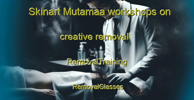 Skinart Mutamaa workshops on creative removal | RemovalTraining | RemovalClasses | SkinartTraining-Finland
