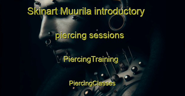 Skinart Muurila introductory piercing sessions | #PiercingTraining #PiercingClasses #SkinartTraining-Finland