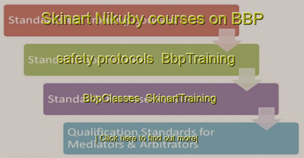 Skinart Nikuby courses on BBP safety protocols | BbpTraining | BbpClasses | SkinartTraining-Finland