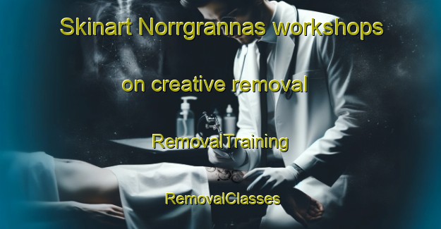 Skinart Norrgrannas workshops on creative removal | RemovalTraining | RemovalClasses | SkinartTraining-Finland