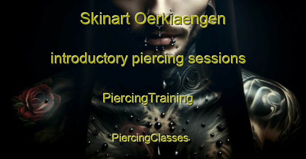 Skinart Oerkiaengen introductory piercing sessions | PiercingTraining | PiercingClasses | SkinartTraining-Finland