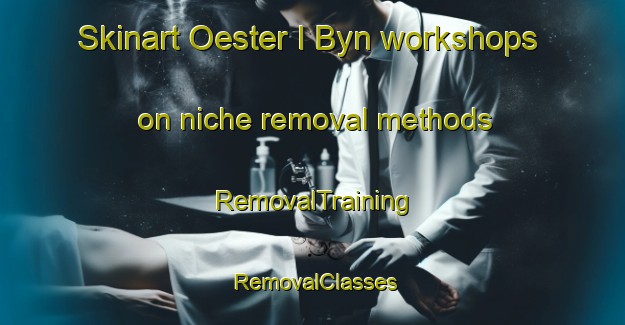 Skinart Oester I Byn workshops on niche removal methods | RemovalTraining | RemovalClasses | SkinartTraining-Finland