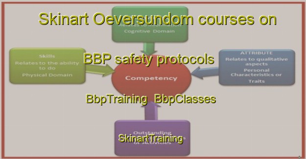 Skinart Oeversundom courses on BBP safety protocols | BbpTraining | BbpClasses | SkinartTraining-Finland