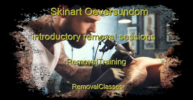Skinart Oeversundom introductory removal sessions | RemovalTraining | RemovalClasses | SkinartTraining-Finland