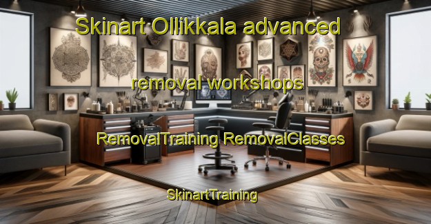 Skinart Ollikkala advanced removal workshops | #RemovalTraining #RemovalClasses #SkinartTraining-Finland