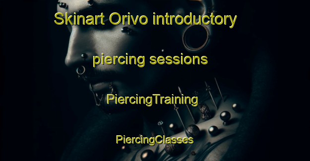 Skinart Orivo introductory piercing sessions | #PiercingTraining #PiercingClasses #SkinartTraining-Finland