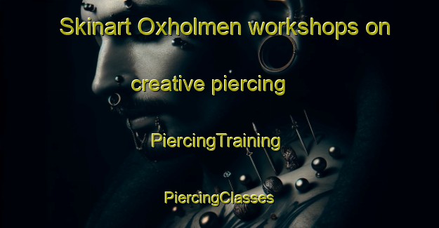 Skinart Oxholmen workshops on creative piercing | #PiercingTraining #PiercingClasses #SkinartTraining-Finland