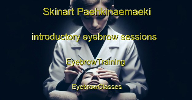 Skinart Paehkinaemaeki introductory eyebrow sessions | EyebrowTraining | EyebrowClasses | SkinartTraining-Finland
