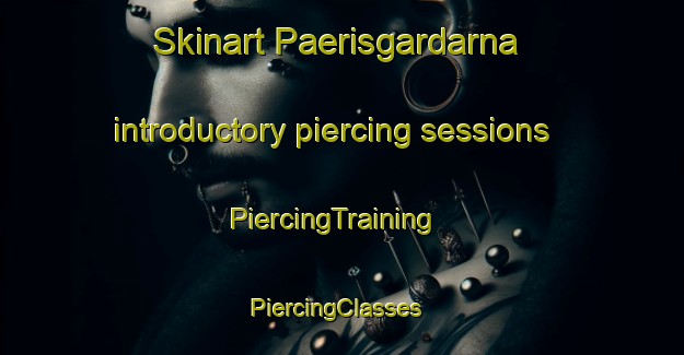 Skinart Paerisgardarna introductory piercing sessions | PiercingTraining | PiercingClasses | SkinartTraining-Finland