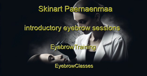 Skinart Paernaenmaa introductory eyebrow sessions | EyebrowTraining | EyebrowClasses | SkinartTraining-Finland