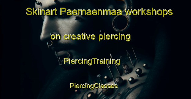 Skinart Paernaenmaa workshops on creative piercing | PiercingTraining | PiercingClasses | SkinartTraining-Finland