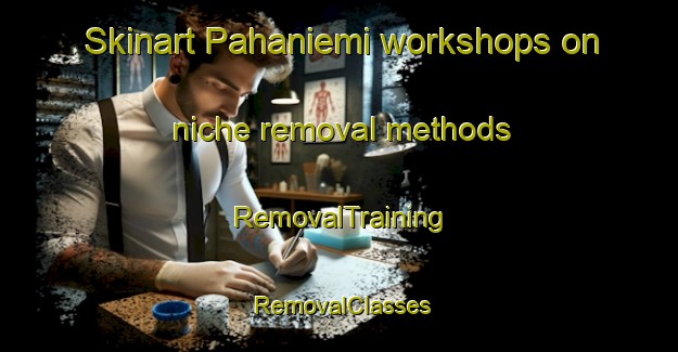 Skinart Pahaniemi workshops on niche removal methods | RemovalTraining | RemovalClasses | SkinartTraining-Finland