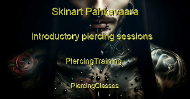 Skinart Pahkavaara introductory piercing sessions | #PiercingTraining #PiercingClasses #SkinartTraining-Finland